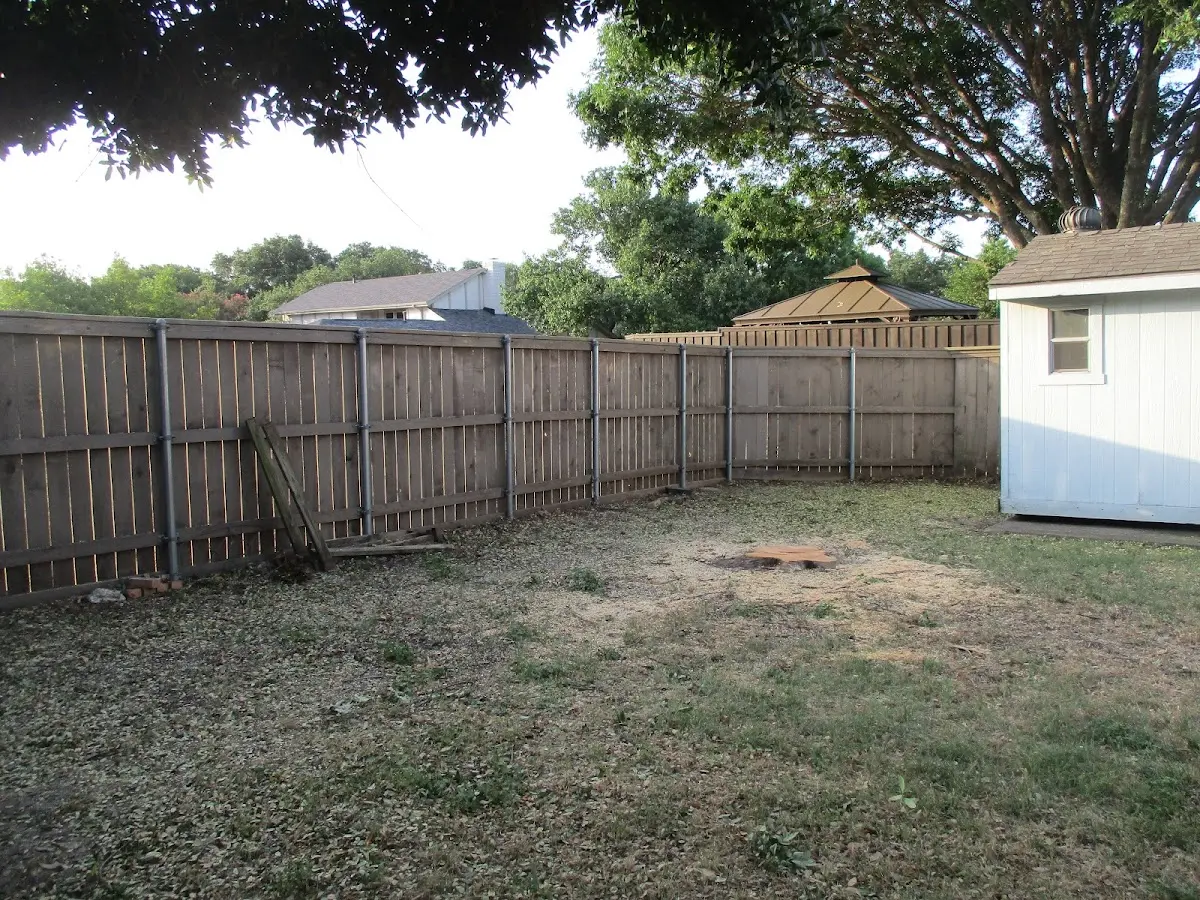 Cleared yard after professional tree removal in Grays River